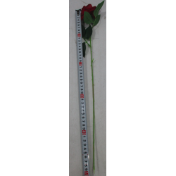 Róża 50cm